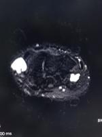 查看图片需登陆