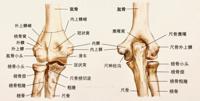 查看图片需登陆