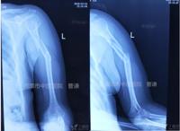 查看图片需登陆