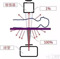查看图片需登陆