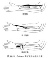 查看图片需登陆