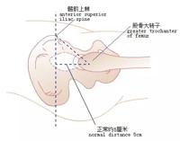 查看图片需登陆