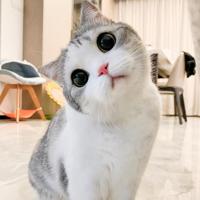 查看图片需登陆