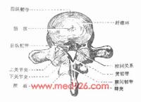 查看图片需登陆