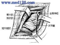 查看图片需登陆