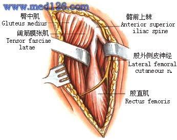 查看图片需登陆