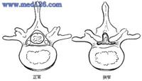查看图片需登陆