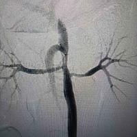 查看图片需登陆