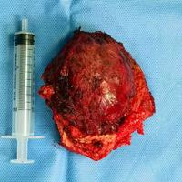 查看图片需登陆